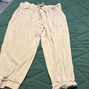 Universal Thread Tan Joggers